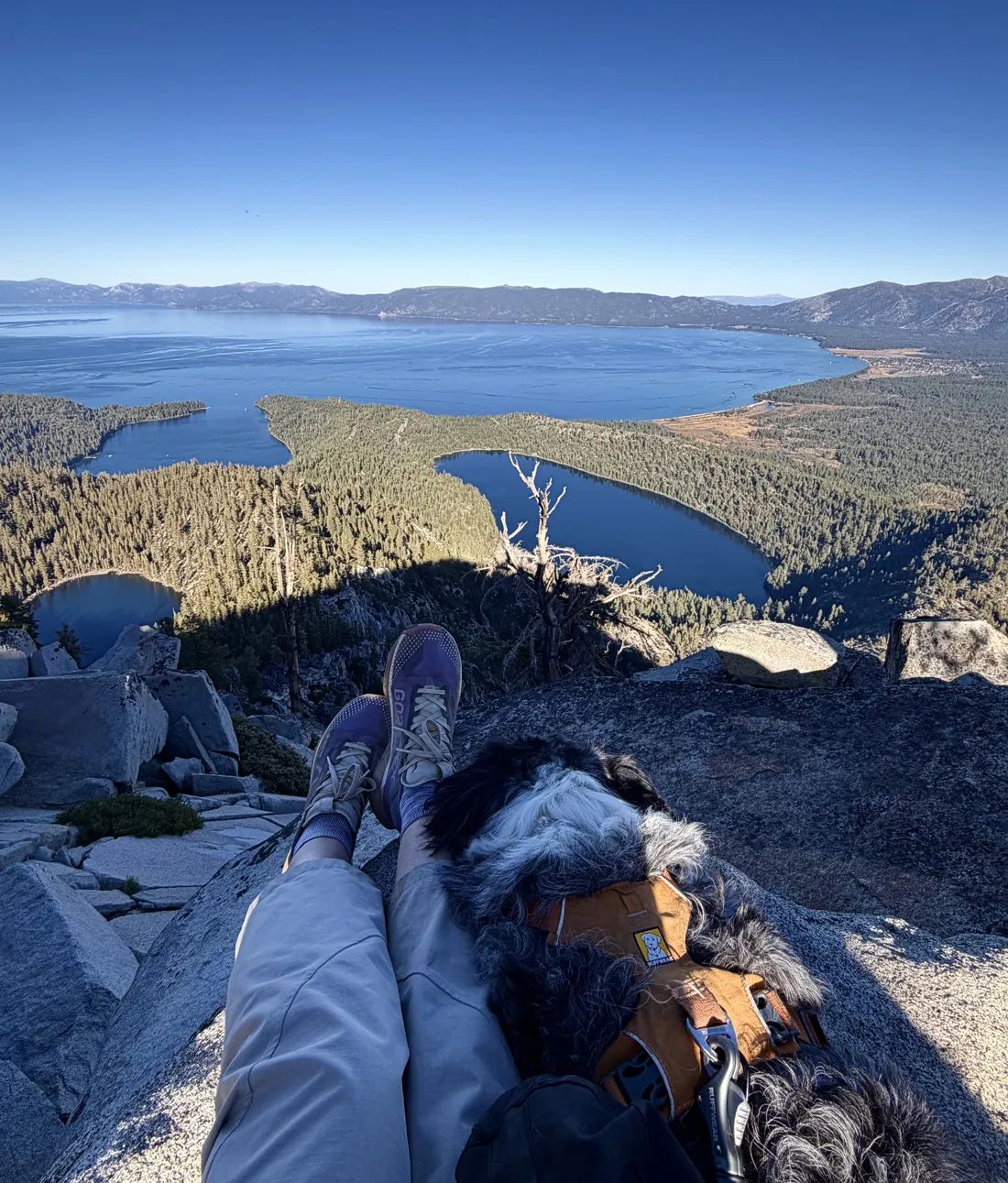 Looking out over Emerald Bay and Lake Tahoe from a summit, with Emersyn’s dog in the foreground